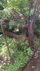 Plynlimmon - The 1860 Heritage Cottage at Kurrajong