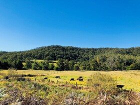 Elizabeth Tiny House