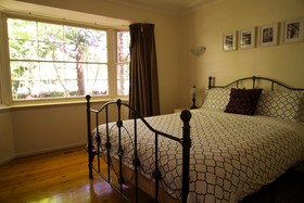 Leura Camellias