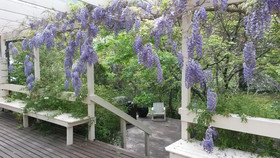 Leura Country Cottage