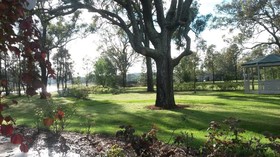 Emmas Cottage Vineyard