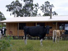 Lovedale Cottages