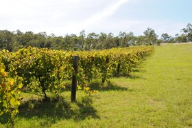 Sovereign Hill Country Lodge And Vineyard