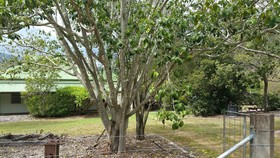 Karamea Homestead