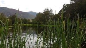 Karamea Homestead