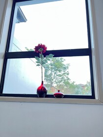 Sunny Rooms Mascot
