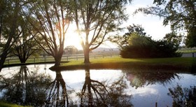 Parklands Resort Mudgee