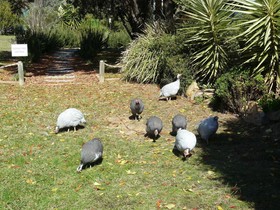 Protea Farm Cottages