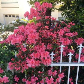North Ryde Guest House