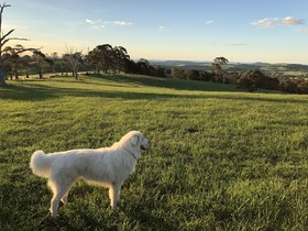 High Country Trail Rides & Farm Stay