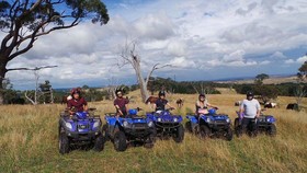 High Country Trail Rides & Farm Stay