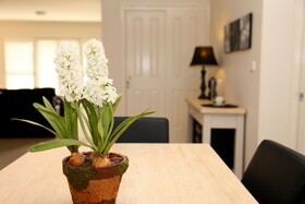 Apartments on the Park Studio 35