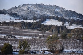 Borrodell Vineyard