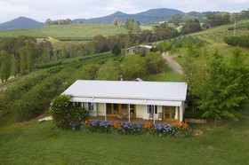 Borrodell Vineyard