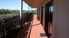 Turners Vineyard