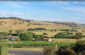 Turners Vineyard