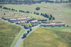 Turners Vineyard