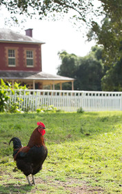 The Barracks Tocal