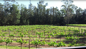 Hermitage Lodge Hunter Valley