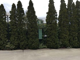 Crest Motor Inn