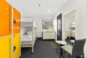 London Plane Backpackers Hostel