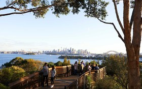 Roar and Snore at Taronga Zoo Sydney