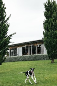 Cupitt's Estate