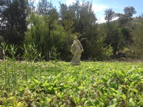 Ginninderry Homestead