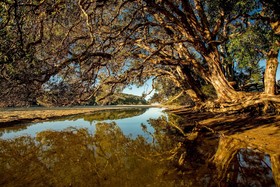 Woolgoolga Lakeside Holiday Park