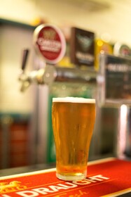 Quality Frontier Darwin