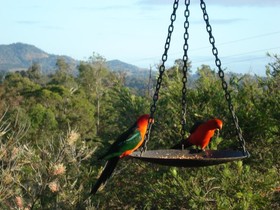 Amamoor Lodge