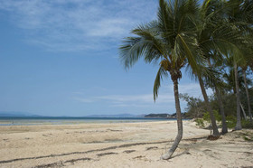 Beachcomber