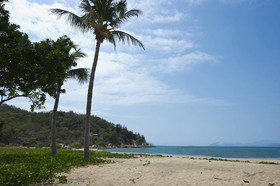Beachcomber
