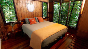 Canopy Tree Houses