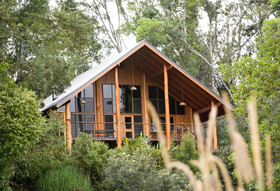 Canopy Tree Houses