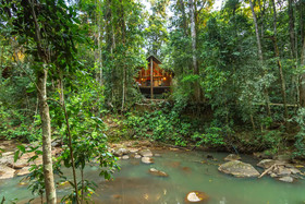 Canopy Tree Houses