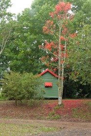 Lake Eacham Tourist Park & Self Contained Cabins