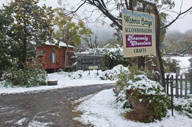 Wisteria Cottage and Cabins