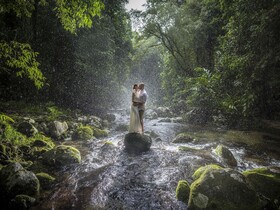 Misty Mountains Rainforest Retreat