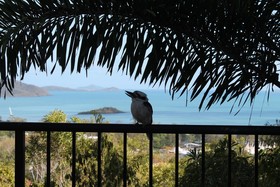 Whitsundays Rainforest Retreat