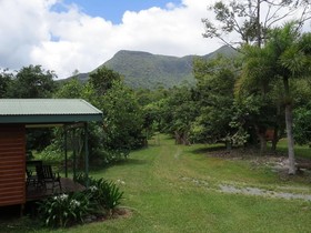 Cape Trib Farmstay