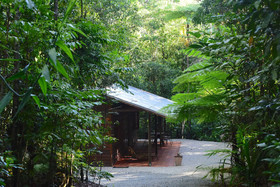 Daintree Cascades