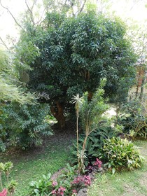 Kallora Escape Bed & Breakfast