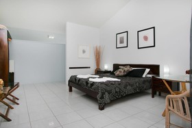 Daintree Wild Bed & Breakfast