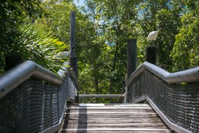 Daintree Wild Bed & Breakfast