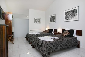 Daintree Wild Bed & Breakfast
