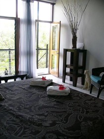 Daintree Wild Bed & Breakfast