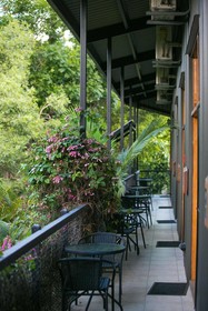Daintree Wild Bed & Breakfast