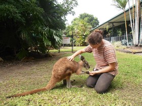 Daintree Wild Bed & Breakfast