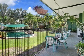 Daintree Wild Bed & Breakfast